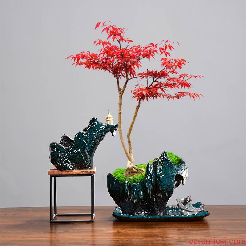 Asparagus red maple tree special creative new flower pot landscape combined with the base preferential elder brother up penglai pine the lantern