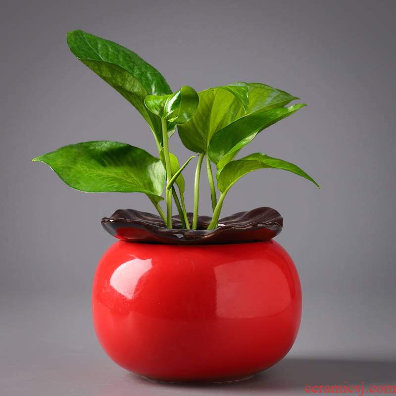 Copper money plant grass hydroponic lotus basin ceramic creative move special offer a clearance without hole water raise refers to flower pot the plants