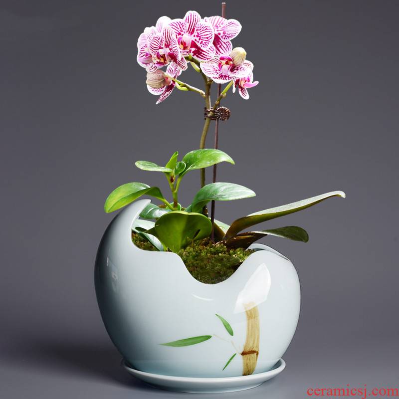 Creative move celadon hydroponic vessel aquatic plant bowl lotus money plant daffodils copper grass special pot ceramic flower pot