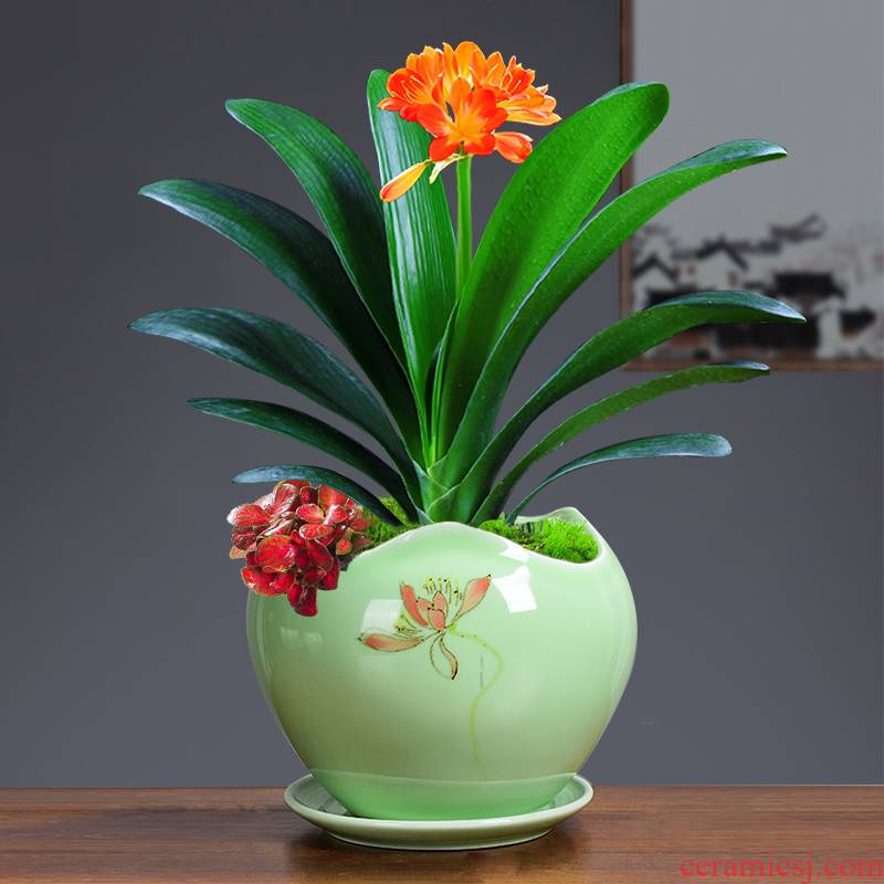 Ceramic hand - made of cape jasmine flower pot the plants osmanthus creative other special large green potted tray