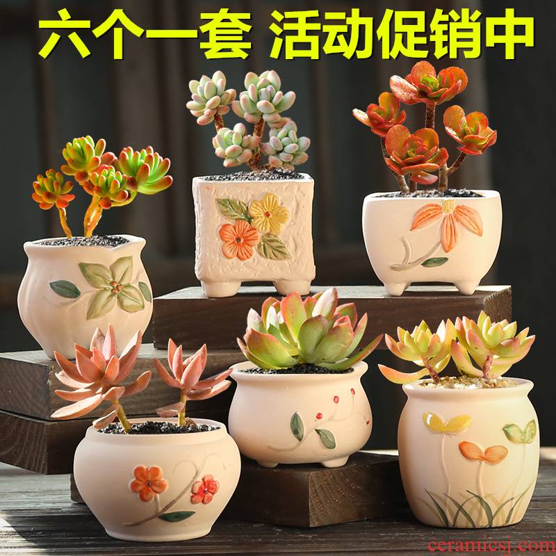 Fleshy flowerpot ceramic creative move meat meat plant kind contracted coarse pottery breathable special offer a clearance flowerpot
