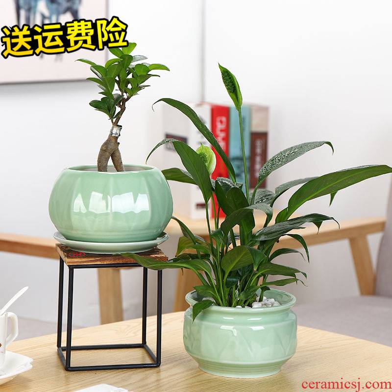 Ceramic flower pot optional along an abundant distribution 】 【 celadon green plant containers with more meat tray was contracted money plant daffodils