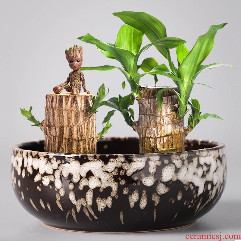 Brazilwood dedicated pot ceramic hydroponic the plants lucky lucky bamboo wood tray tower water bamboo desktop small potted plant
