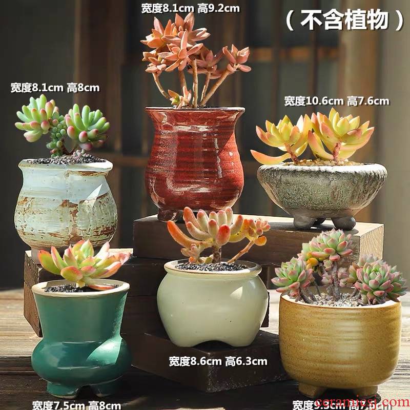 The Fleshy flower pot special offer a clearance of large diameter violet arenaceous coarse pottery air suction creative move meat meat little old running the flowerpot