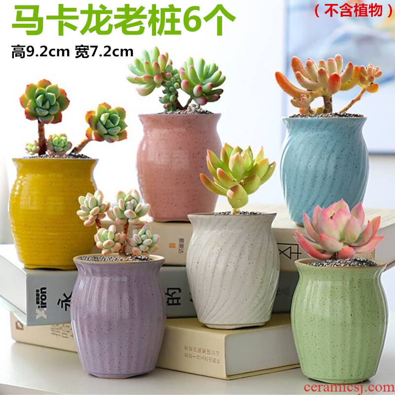 The Fleshy flower pot set special offer a clearance package mail coarse pottery breathable creative indoor small basin of the old running wholesale meat meat the plants