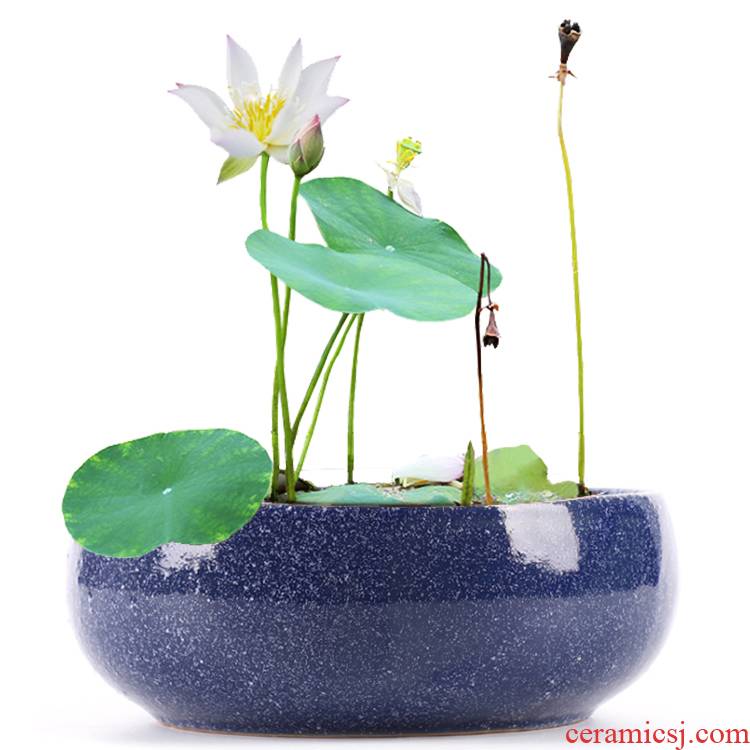 Copper grass special ceramic hydroponic flower pot water lily bowl lotus basin cylinder withered lotus grass daffodils money without hole more than meat