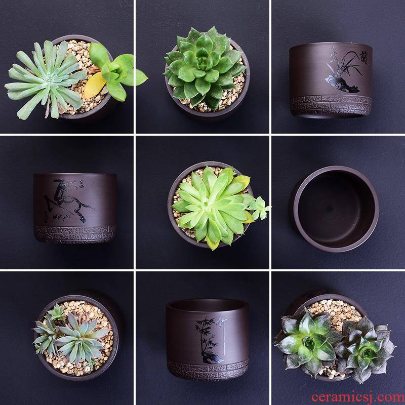 Purple sand flowerpot more meat small creative custom coarse pottery ceramic the plants breathe freely contracted household specials flesh POTS