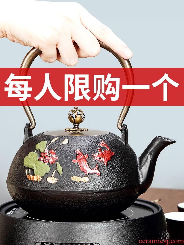 Tang Feng manually cast iron pot of tea is special paint boiling kettle brother maker household kung fu tea stove kettle