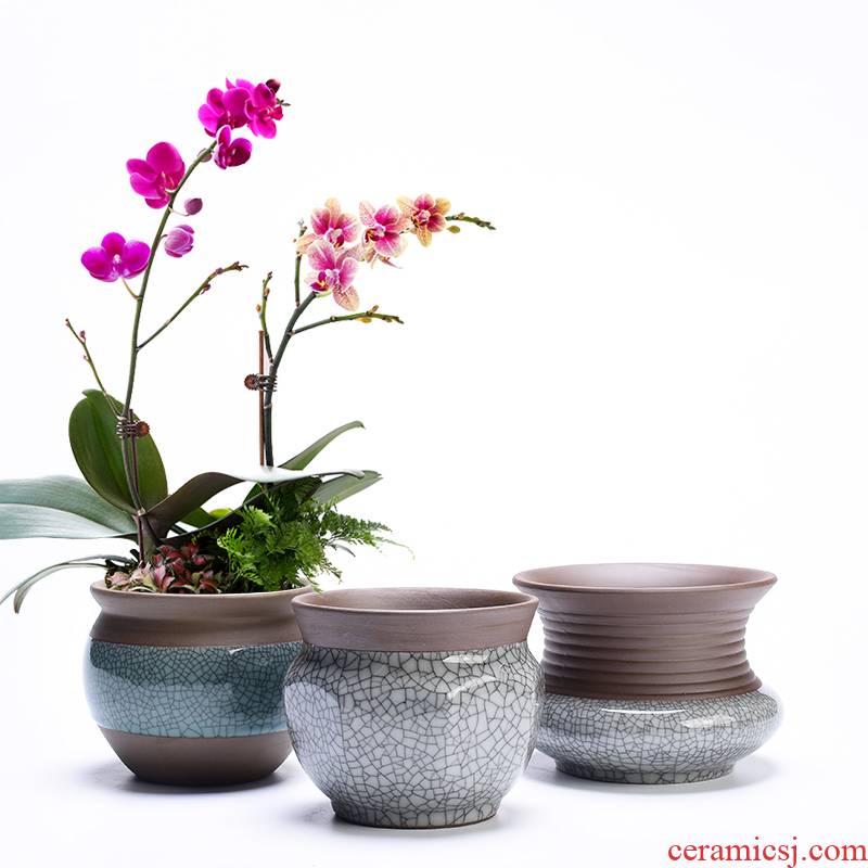Retro elder brother up with ceramic household meaty plant flower pot coarse pottery breathable clay purple butterfly orchid basin of chlorophytum