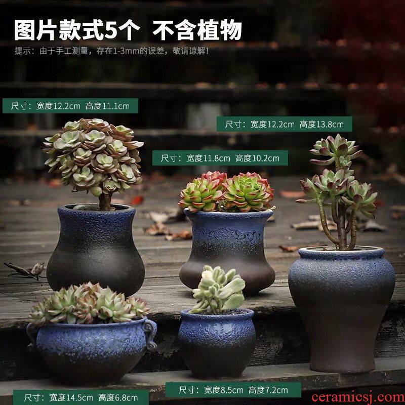 Fleshy flowerpot ceramic package mail creative move coarse pottery retro large caliber meat meat the plants potted special offer a clearance