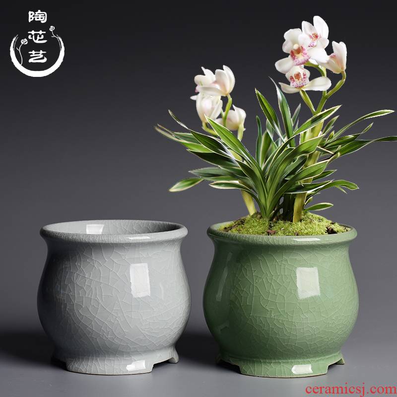 Creative desktop special green plant bonsai POTS butterfly orchid flower POTS, the elder brother of the ceramic up open a piece of household bracketplant orchid flower POTS