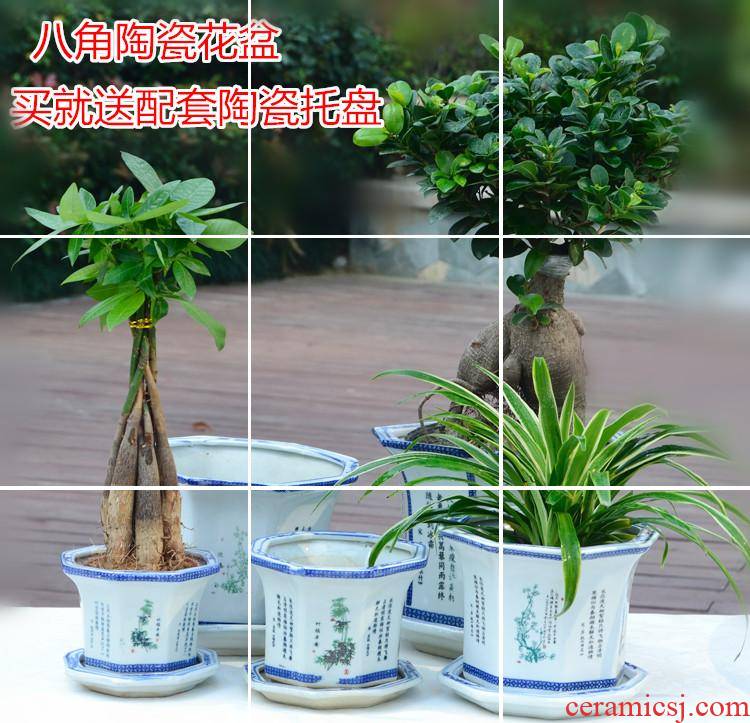Ceramic flower POTS with tray was octagonal Ceramic blue color flower pot classical type restoring ancient ways is the balcony flowerpot of blue and white porcelain