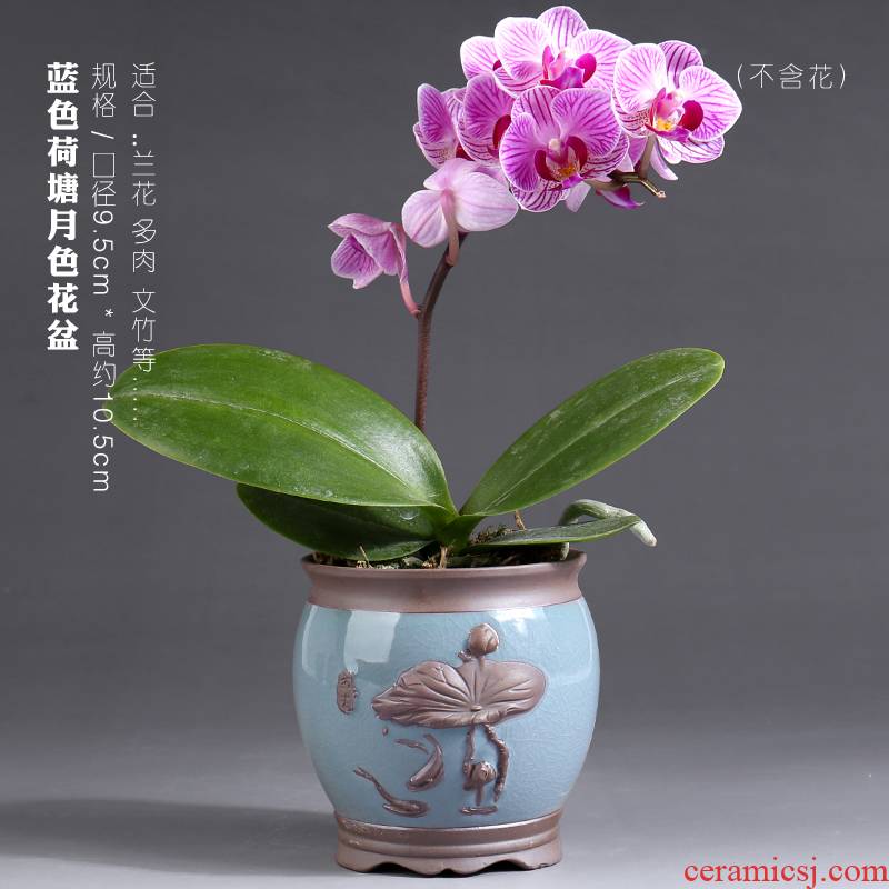 Butterfly orchid flower POTS vent size special creative purple high - grade ceramic pot round expressions using basin a clearance sale