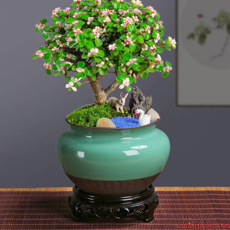 Fleshy classical creative ceramic coarse pottery breathable large potted bonsai elder brother up POTS rosewood banyan green plant is special