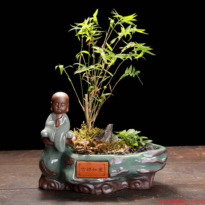 The Elder brother up with ceramic creative special offer a clearance indoor desktop restoring ancient ways, green potted meat more calamus asparagus bonsai POTS