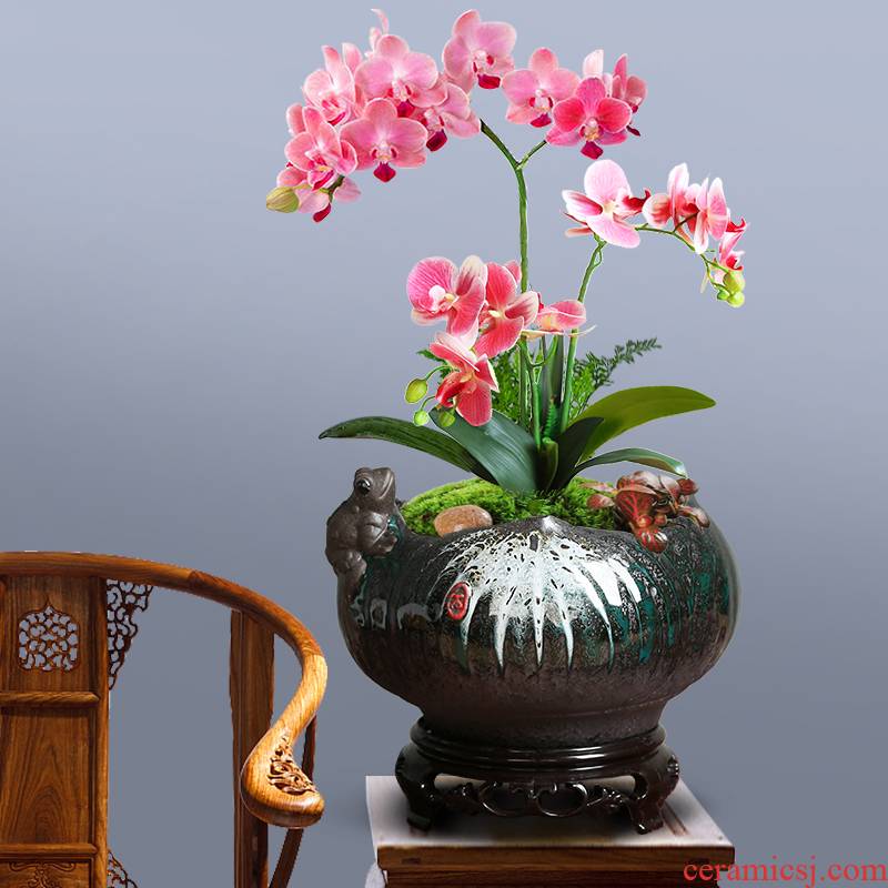 Ceramic color butterfly orchid hand pot contracted move green plant jasmine clove bonsai pot with new bottom seat