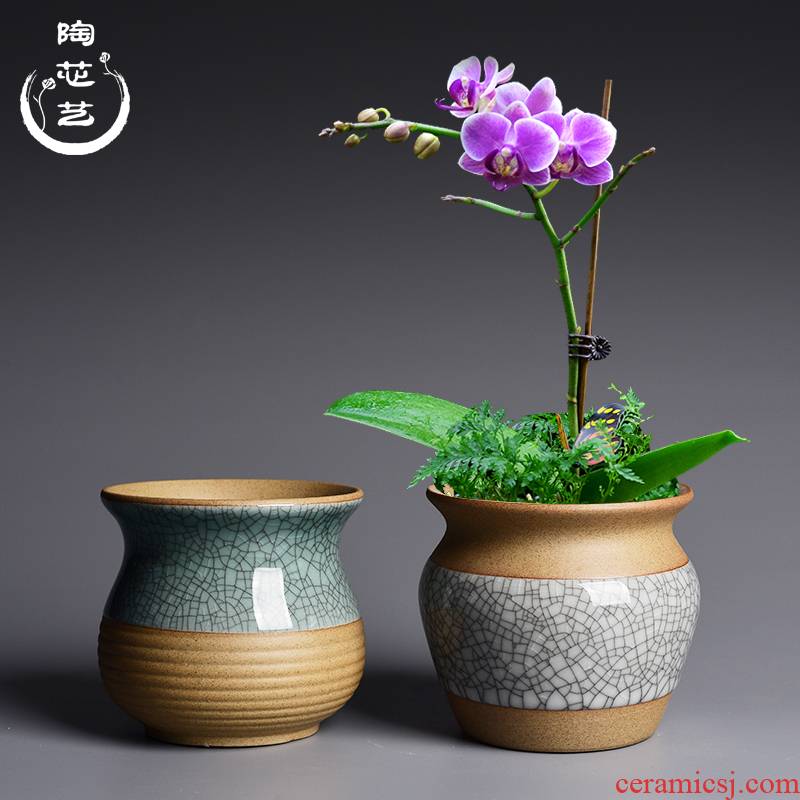 Elder brother up drive chip ceramic flower pot in the creativity of meat plant is potted device desktop, green plant butterfly orchid coarse pottery flowerpot