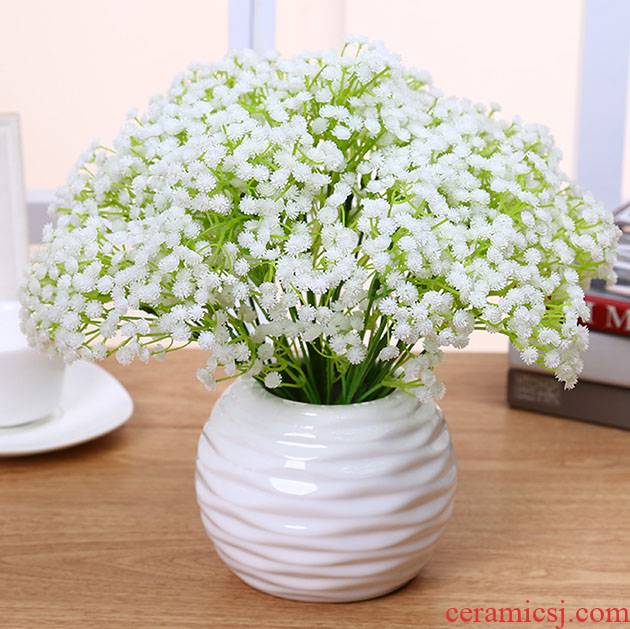 Pure and fresh and small eucalyptus butterfly orchid suits for simulation suit, flower green plant bonsai the plants potted flower decoration ceramics