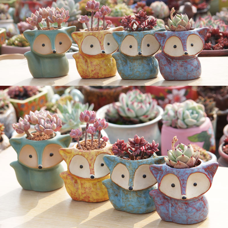 Creative move small lovely fox household northern wind fleshy flowerpot ceramic combination suit special offer a clearance