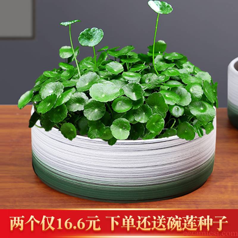 Special ceramic refers to flower pot grass cooper water lily bowl lotus hydroponic contracted creative new product without hole size basin