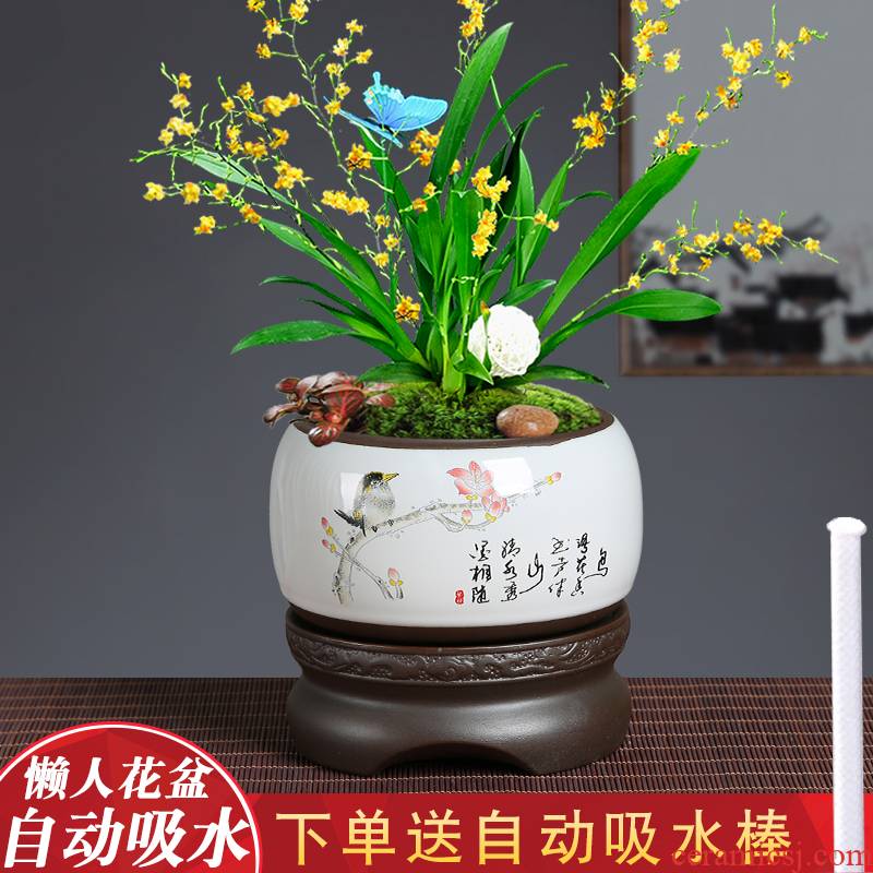 Celadon colorful butterfly orchid lazy flowerpot hand - made contracted creative purple ceramic green plant flower implement automatic suction