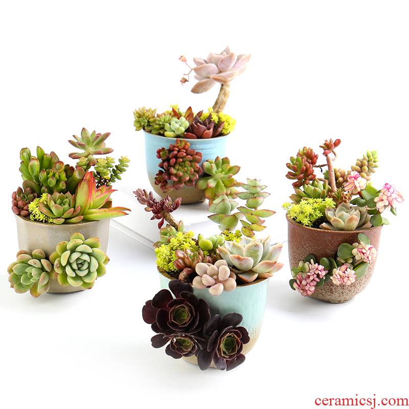 Porous through pockets ceramic creative delay jubilee express girl heart more caliber meaty plant flower pot ceramic wholesale and sale