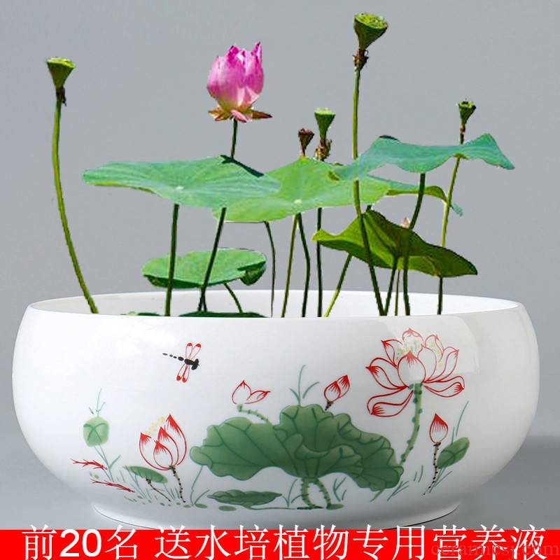 Large bowl lotus leaf, lotus nonporous daffodil copper grass special ceramic water plant a flower pot special offer a clearance