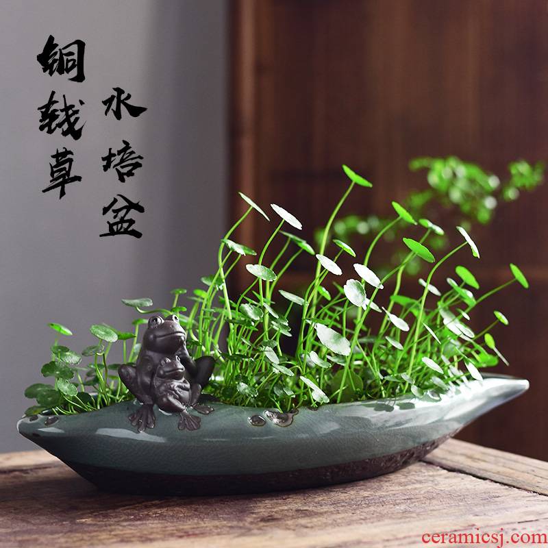 Elder brother up with contracted fleshy grass cooper refers to flower POTS of creative move nonporous hydroponic lucky bamboo leaf ceramic POTS