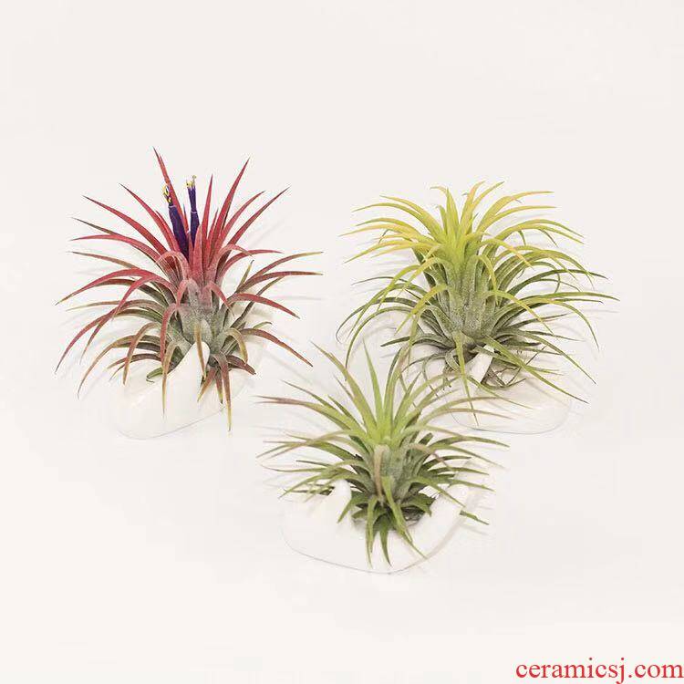 Air pineapple LOVE base finger citron holding red yellow green elves creative soilless green plant office interior decoration