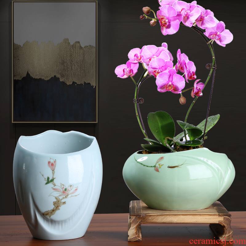 Large flower pot in twelve Chinese rose, celadon ceramic green plant, fleshy asparagus I and contracted creative orchid is special