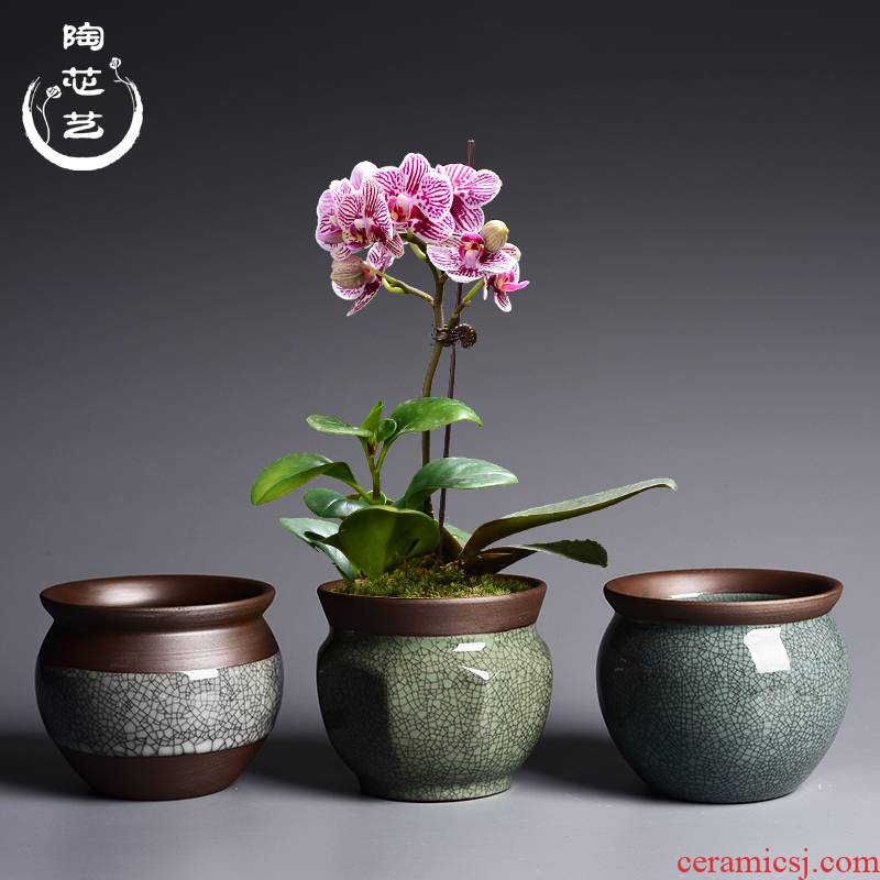 Violet arenaceous elder brother up slicing fleshy flowerpot ceramic creative green plant household butterfly orchid the plants clay flower POTS