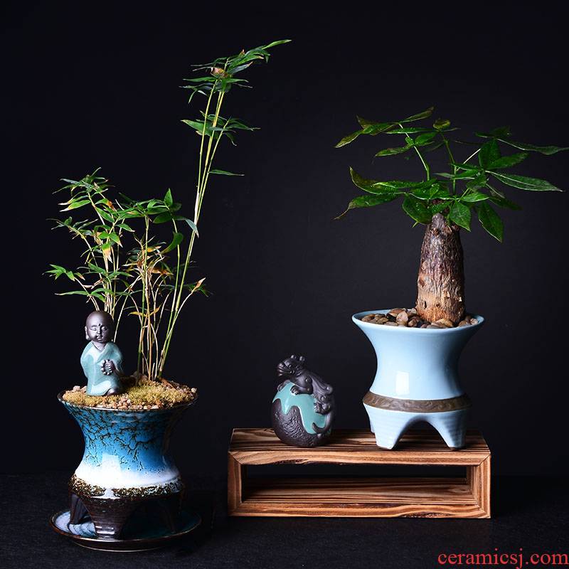 Contracted asparagus rich tree green plant bracketplant money plant flower POTS, fleshy basin combination of new Chinese style creative ceramic pot