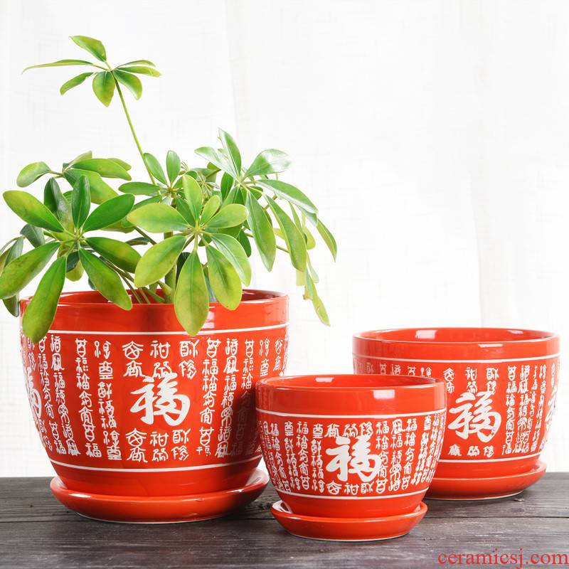 Chinese style wedding festival red ceramic large flowerpot more than other meat special butterfly orchid flower seedlings and potted flower pot