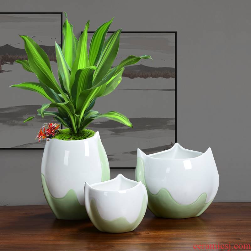 Ceramic green plant large special pot money plant orchid fleshy the plants potted special simplicity Nordic desktop clearance