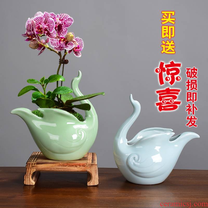 Creative butterfly orchid bowl lotus ceramic celadon other copper grass green, the plants move desktop hydroponic flower pot bottles
