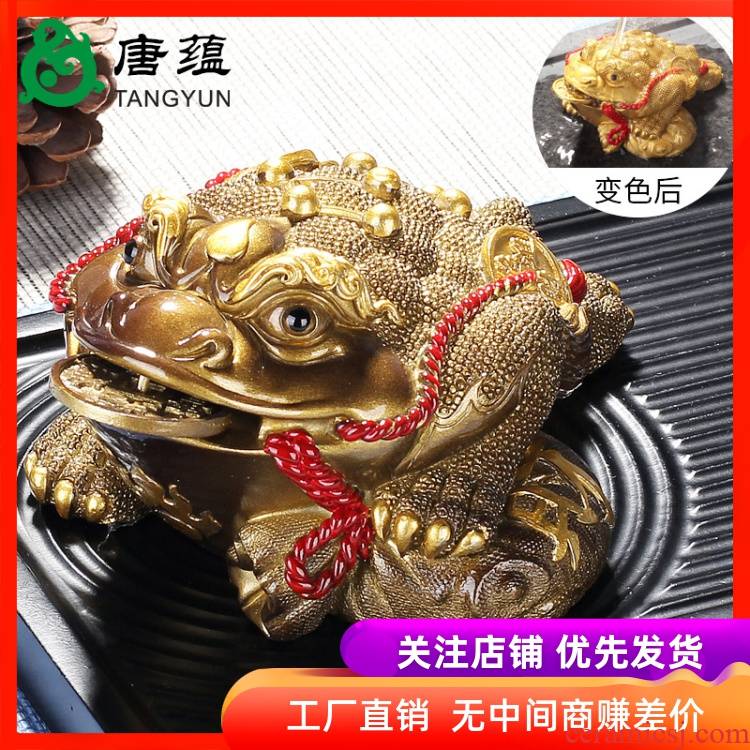 Feng shui, golden cicada three - legged toad furnishing articles spittor fortune prosperous wealth home furnishing articles town house hot water color tea tea of a pet
