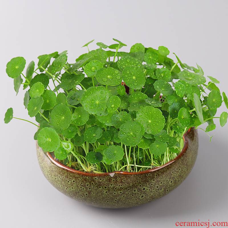 Ceramic flower pot hole clearance without hydroponic container copper bowl lotus basin'm grass refers to flower pot lotus basin of Chinese style flower implement
