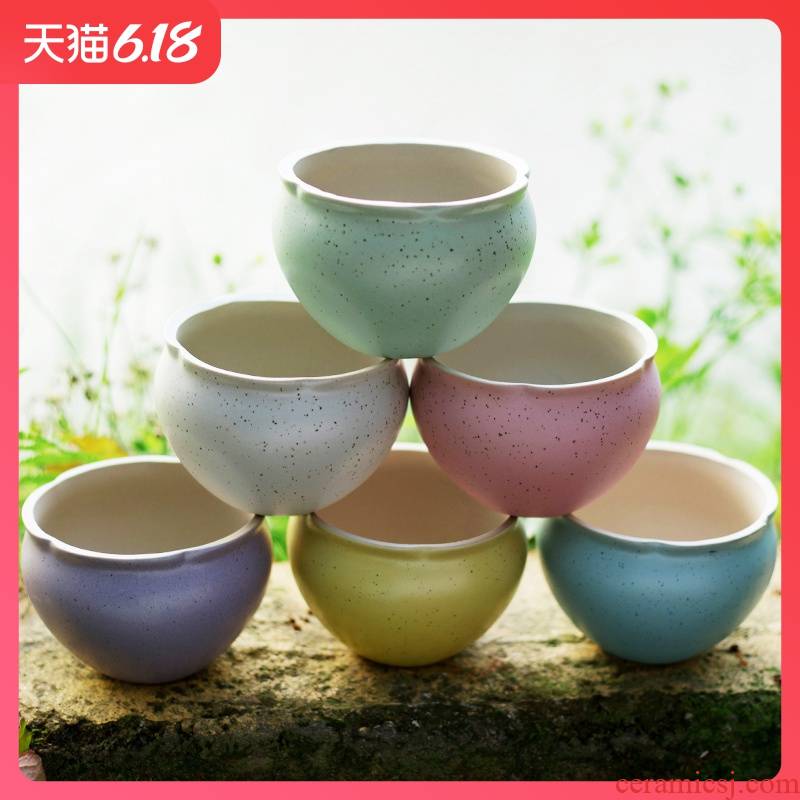 Large diameter meat flowerpot marca dragon candy color more meat meat platter ceramic I and contracted special price 18 yuan package mail