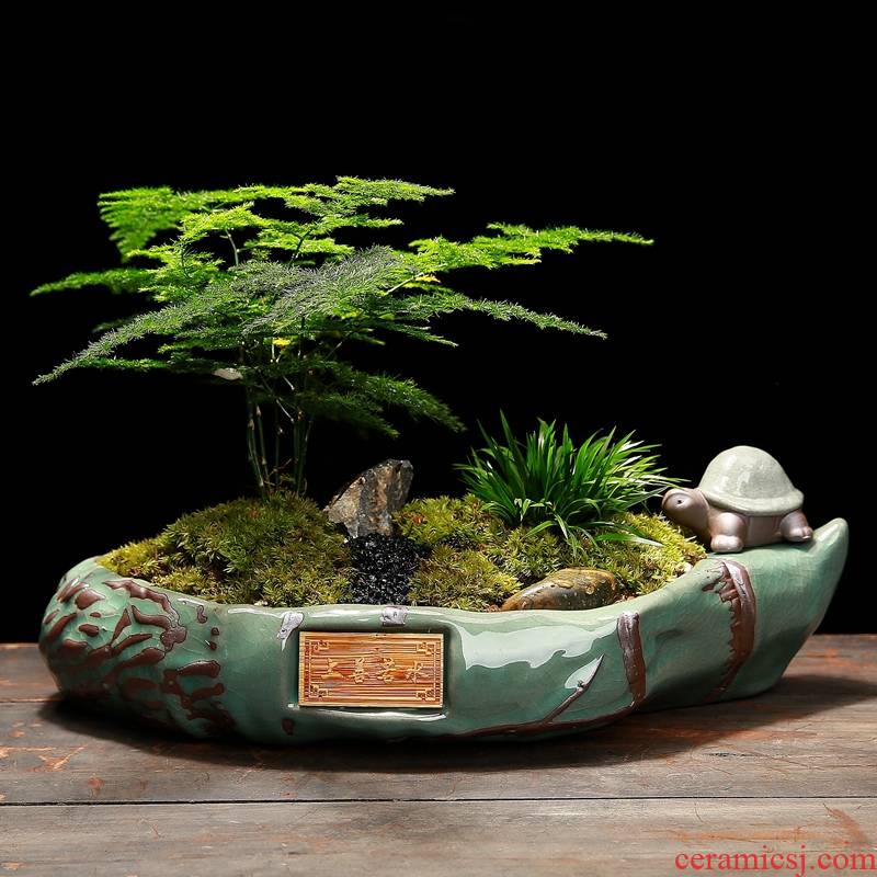Bonsai pot asparagus grass calamus copper rich tree the plants potted large rectangle special offer a clearance ceramic flower pot