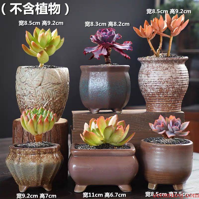 Fleshy flower pot set combination special package mail large diameter coarse pottery breathable retro move meat meat small potted the plants