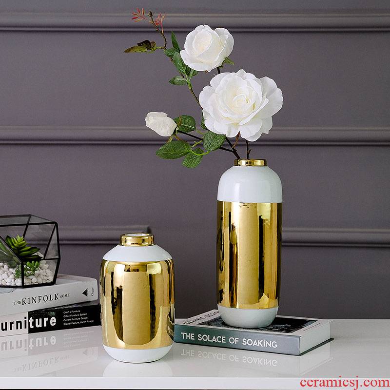 North European modern gold - plated ceramic furnishing articles on both sides of the TV all impressions vase dry flower arranging flowers is sitting room adornment