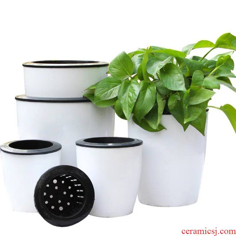 Thickening automatic suction couch potato ridging indoor office water culture more meat other medium porcelain plastic flower POTS