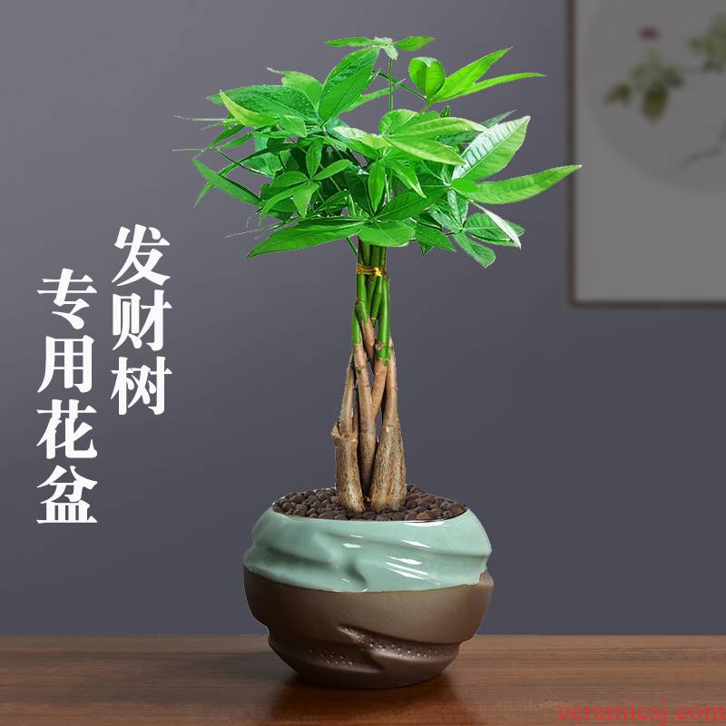 Elder brother up with medium rich tree green plant special ceramic flower pot individuality creative contracted asparagus coarse pottery purple sand tire air permeability