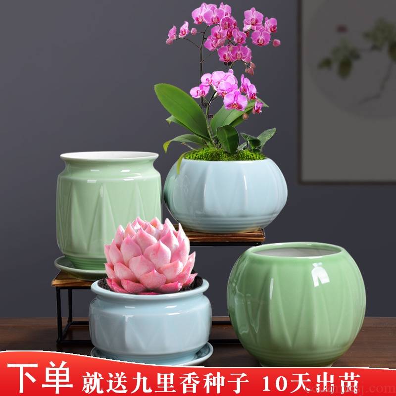 Special ceramic butterfly orchid flower POTS Special tray other desktop Nordic creative move fleshy green plant POTS