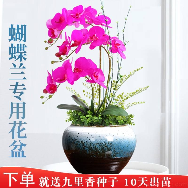 Butterfly orchid special ceramic flower pot shape fleshy large violet arenaceous basin with tray was tire coarse pottery breathable art move