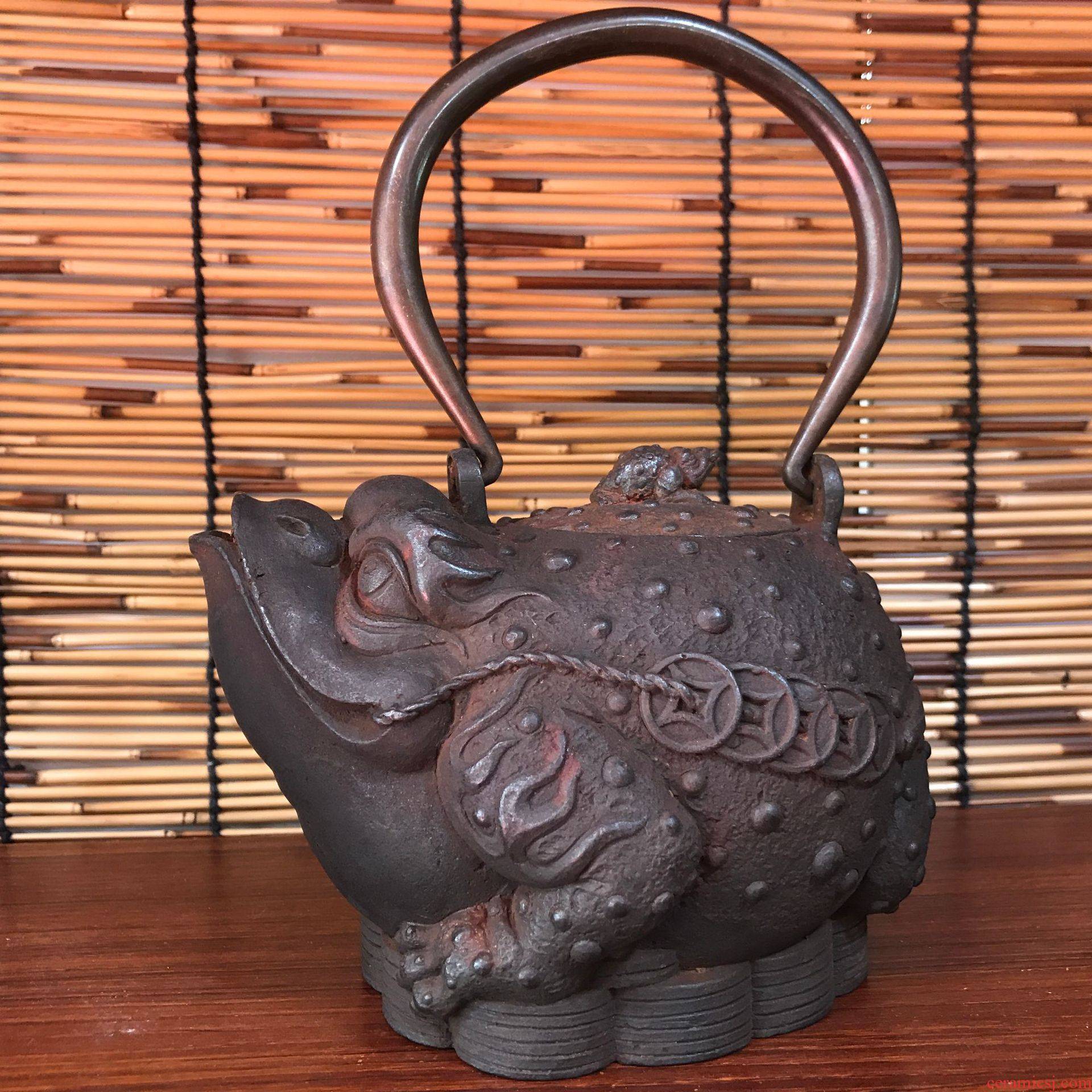 Xia Jietie pot manufacturer spittor brother pot of checking iron pot of cast iron teapot in southern Japan iron pot