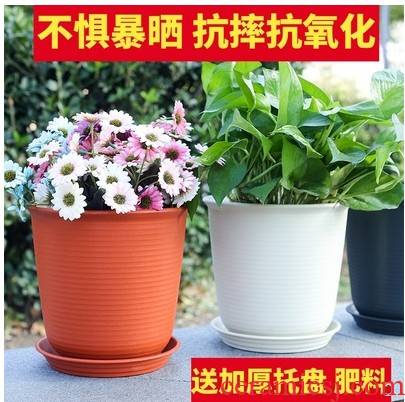 Large diameter household pot diameter ceramic coarse pottery Large hole clearance without extra Large creative daffodils in the living room