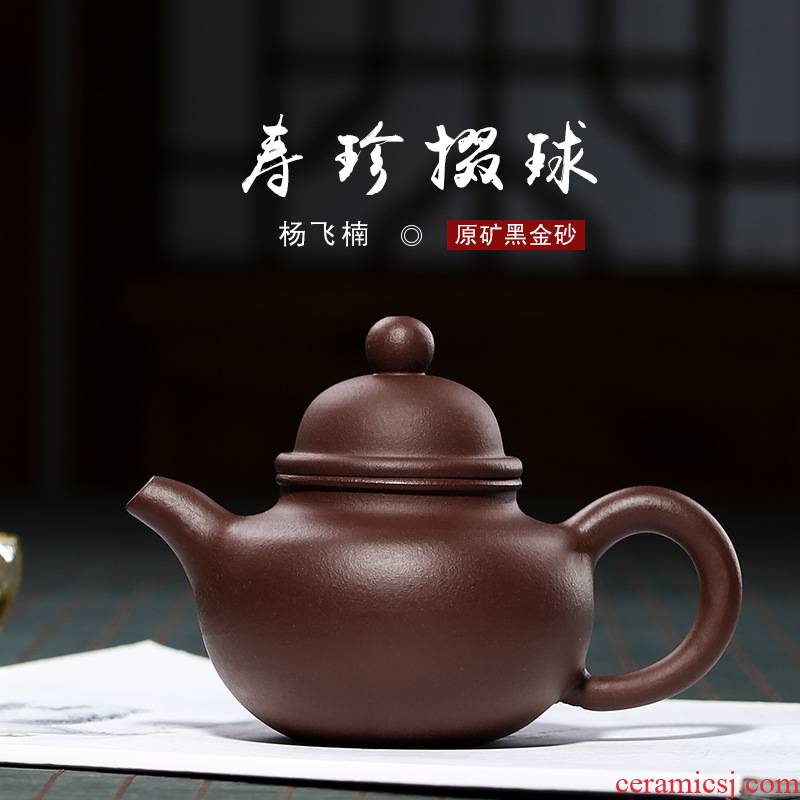 ShouZhen Duo Yang Feina all hand ball it chorale ink quality goods purple clay teapot small capacity small tea set