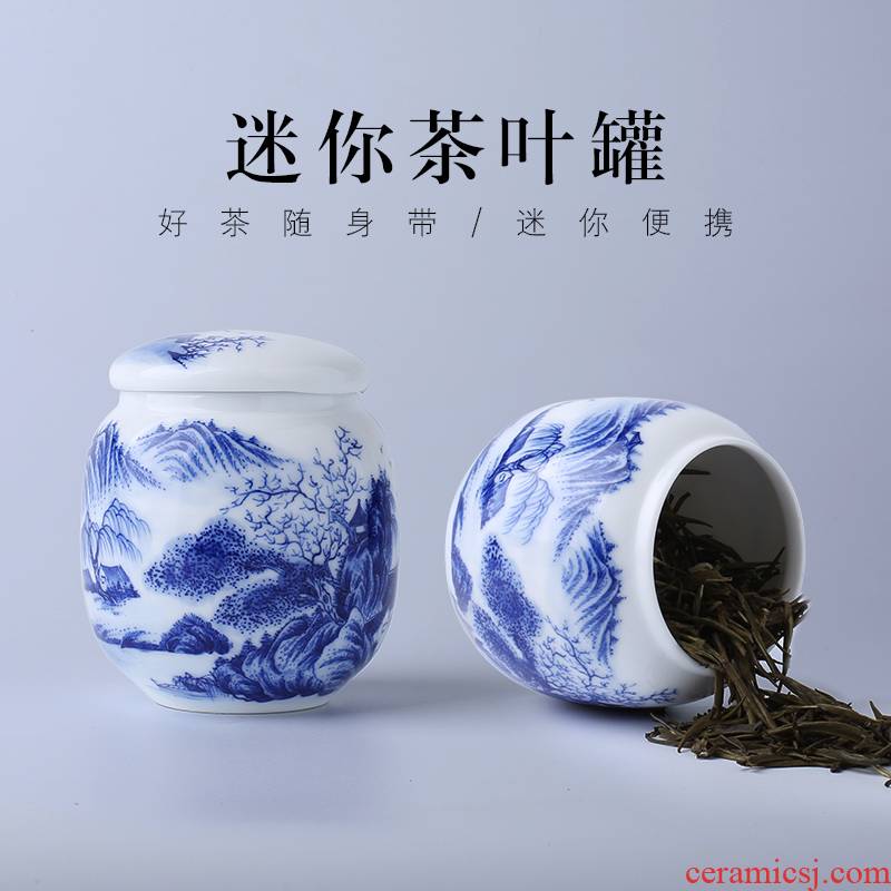 Jingdezhen up the fire which hand - made mini caddy fixings of blue and white porcelain ceramic tea set small portable sealed as cans