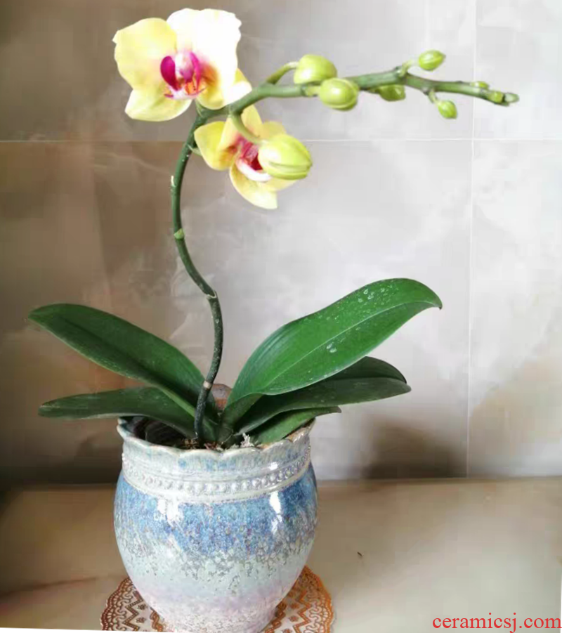 Large orchid rose mint more than other high meat meat jasmine flower pot pottery basin of the old running the package mail special offer a clearance